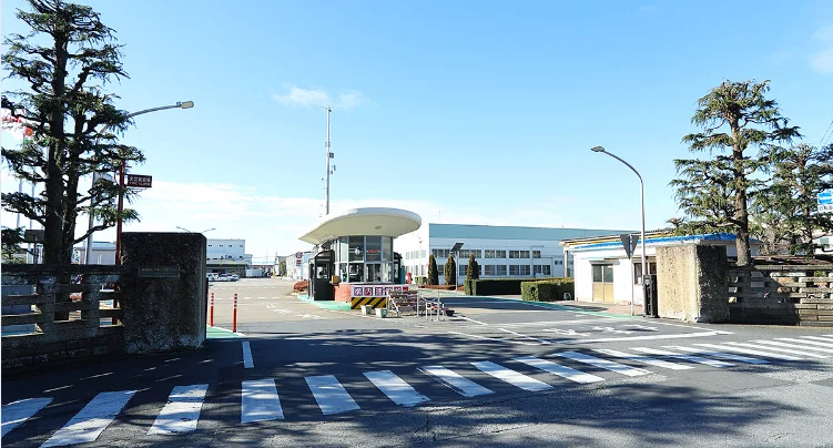 Diesel Pellet Machine Wood Pellet Mill Feed Pellet Machinery for Sale With Cheap Price