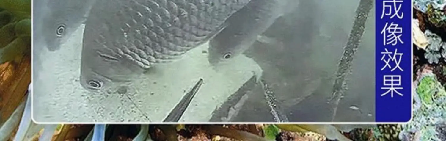 HD Underwater Fish Finder with Night Vision,360° Wide-Angle Fishing Camera,Depth Temperature Sensor for Anglers