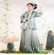 2025 indian traditional clothing pakistani sarees dress women elegant clothing party dress cosplay dance wear stage dress a9