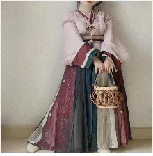 2025 indian traditional clothing pakistani sarees dress women elegant clothing party dress cosplay dance wear stage dress a9