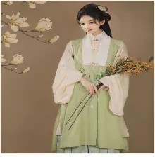 2025 indian traditional clothing pakistani sarees dress women elegant clothing party dress cosplay dance wear stage dress a9