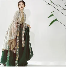 2025 indian traditional clothing pakistani sarees dress women elegant clothing party dress cosplay dance wear stage dress a9