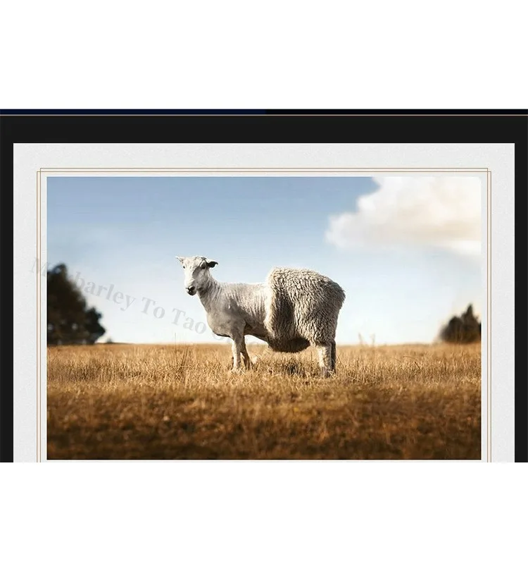 Winter Men Chenille Jacket 2025 Stand Collar Premium Business Casual Wool Blend Coat High End Fashion Warm Classic TrenchCoat