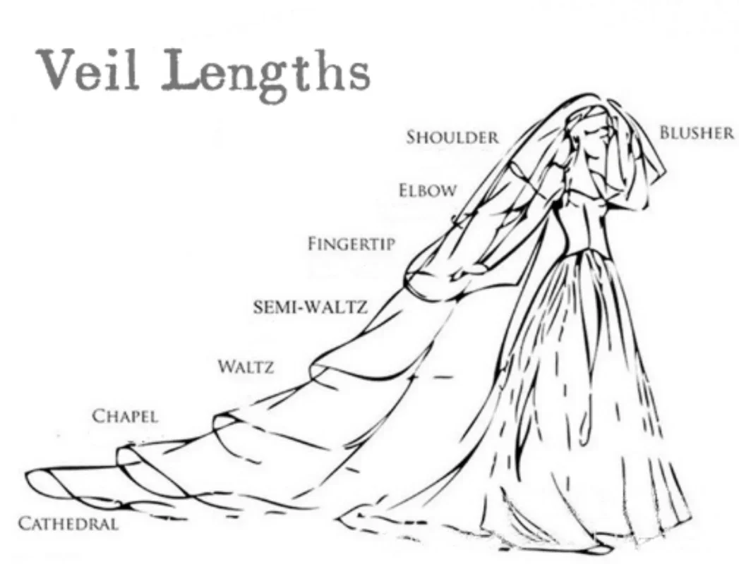 Customized Bridal Wedding Veil 3M Long Cathedral Petal Edge Two Layer Soft Tulle Trailing Veil With Comb Wedding Accessories