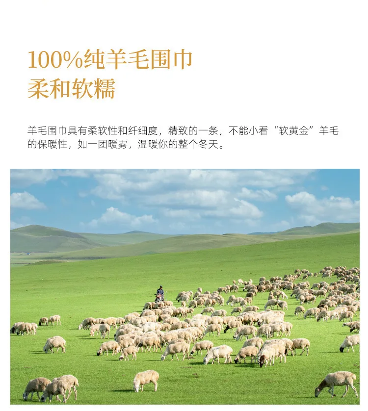 Wool Winter Long Scarf Women Sold Color Tassel Scarves for Ladies Shawl Scarf Fashion Thick Warm Cashmere Poncho Wrap Unisex