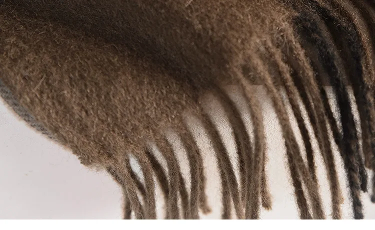 Wool Winter Long Scarf Women Sold Color Tassel Scarves for Ladies Shawl Scarf Fashion Thick Warm Cashmere Poncho Wrap Unisex