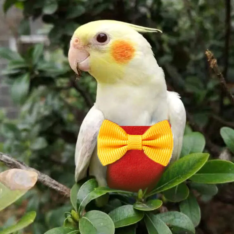 Bird Parrot Diaper with Bowtie Cute Flight Suit Nappy Clothes for Green Cheek Conure Parakeet Pigeons Medium Large Pet Bird