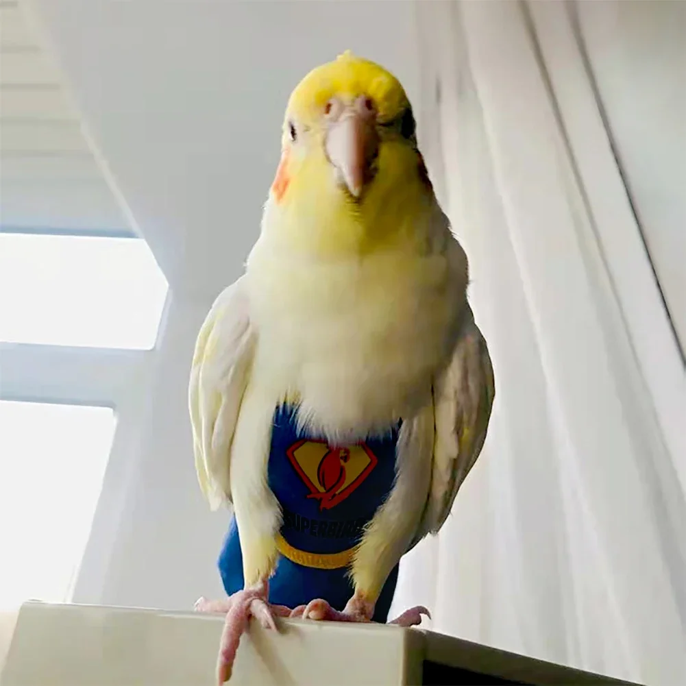 Parrot Diaper Cute Bird Physiological Diaper Cockatiel Pigeons Small Medium Large Pet Birds Flight Suit Clothes Nappy Washable