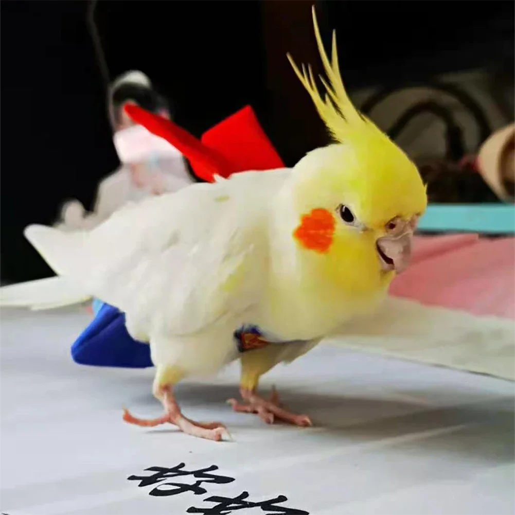 Parrot Diaper Cute Bird Physiological Diaper Cockatiel Pigeons Small Medium Large Pet Birds Flight Suit Clothes Nappy Washable