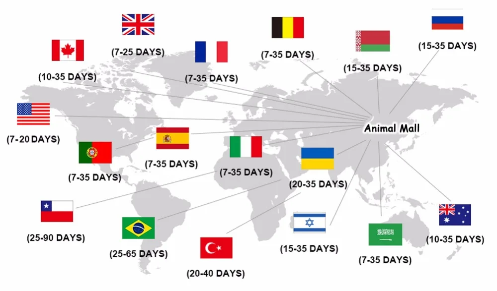 Feeding Syringe Manual Feeding Rearing Gavage Silicone Feeding Hose Medication Tube Small Pet Parrot Feeding Syringe