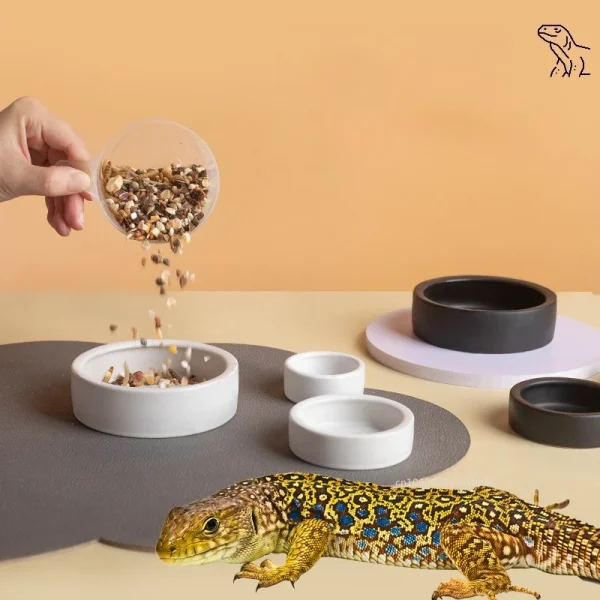 Reptile Food Bowl Feeding and Watering Bowl Anti-Escape Ceramic Feeding and Watering Bowl Anti-Escape Super Worm Feeder
