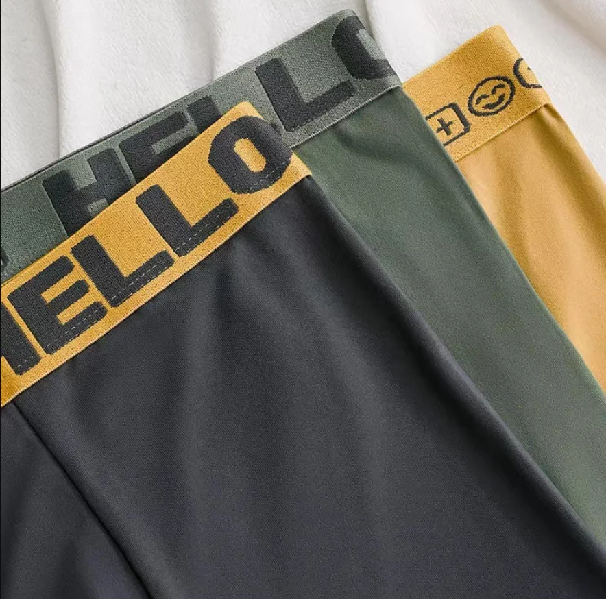 5PCS Boxer Panties Men Letter Underwear Trunks Sexy Underpant Comfortable Breathable Soft Cotton Panties Boxer Shorts Plus Size