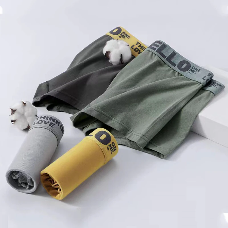 5PCS Boxer Panties Men Letter Underwear Trunks Sexy Underpant Comfortable Breathable Soft Cotton Panties Boxer Shorts Plus Size