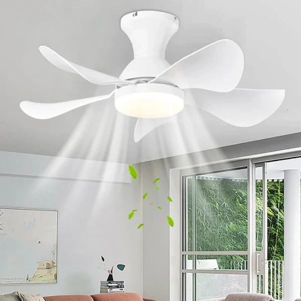 Ceiling Fan