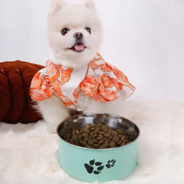 Feeding & Watering Supplies