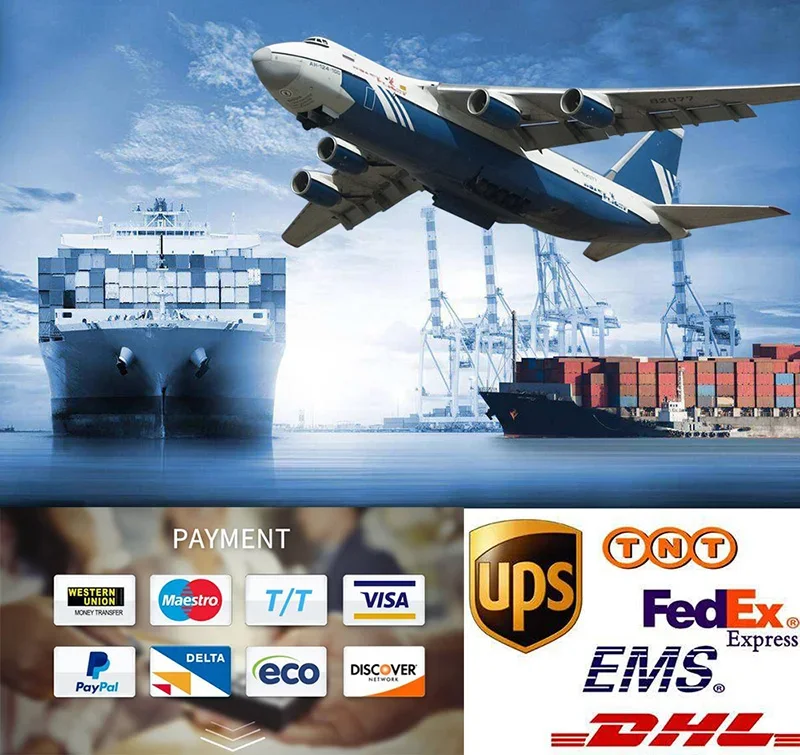 LESQUE Pit Dirt Bike Front Number Plate Fairing Body Kit Parts Fender For Chinese Husqvarna 50 Off Road Scooter Accessories