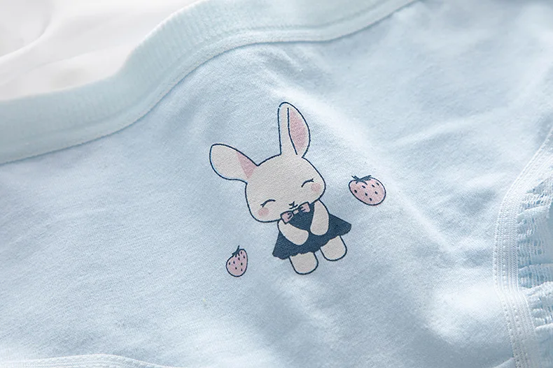 M-XL Cotton Panties Lovely Girl Lace Underpants Women's Traceless Comfort Briefs Women's Underwear Panty Sexy Lingerie